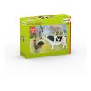 SCHLEICH Farm World Starter Toy Figures Set, 3 to 8 Years, Multi-colour (42385)