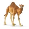 SCHLEICH Wild Life Dromedary Toy Figure (14832)