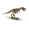 SES CREATIVE Children's Explore Excavate a T-Rex Dinosaur Skeleton, 4 to 12 Years (25028)