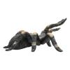 ANIMAL PLANET Wildlife & Woodland Red Kneed Tarantula Spider Toy Figure, Three Years and Above, Multi-colour (387213)