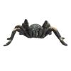 ANIMAL PLANET Wildlife & Woodland Red Kneed Tarantula Spider Toy Figure, Three Years and Above, Multi-colour (387213)