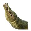 ANIMAL PLANET Wild Life & Woodland Crocodile with Articulated Jaw Toy Figure, Three Years and Above, Green/Tan (387162)