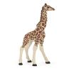 PAPO Wild Animal Kingdom Giraffe Calf Toy Figure, Three Years or Above, Multi-colour (50100)