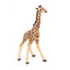 PAPO Wild Animal Kingdom Giraffe Calf Toy Figure, Three Years or Above, Multi-colour (50100)