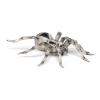 PAPO Wild Animal Kingdom Tarantula Toy Figure, Three Years or Above, Multi-colour (50190)