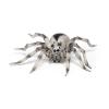 PAPO Wild Animal Kingdom Tarantula Toy Figure, Three Years or Above, Multi-colour (50190)