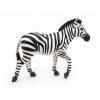 PAPO Wild Animal Kingdom Male Zebra Toy Figure, Three Years or Above, White/Black (50249)