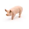 PAPO Farmyard Friends Boar Toy Figure, Three Years or Above, Pink (51044)