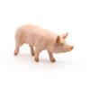 PAPO Farmyard Friends Boar Toy Figure, Three Years or Above, Pink (51044)