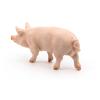 PAPO Farmyard Friends Boar Toy Figure, Three Years or Above, Pink (51044)