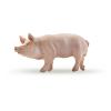 PAPO Farmyard Friends Boar Toy Figure, Three Years or Above, Pink (51044)