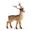 PAPO Wild Animal Kingdom Stag Toy Figure, Three Years or Above, Tan/Brown (53008)