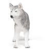 PAPO Dog and Cat Companions Siberian Husky Toy Figure, Three Years or Above, Grey/White (54035)