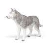 PAPO Dog and Cat Companions Siberian Husky Toy Figure, Three Years or Above, Grey/White (54035)