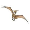 PAPO Dinosaurs Pteranodon Toy Figure, Three Years or Above, Multi-colour (55006)