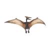 PAPO Dinosaurs Pteranodon Toy Figure, Three Years or Above, Multi-colour (55006)