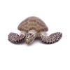 PAPO Marine Life Loggerhead Turtle Toy Figure, Three Years or Above, Multi-colour (56005)