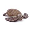 PAPO Marine Life Loggerhead Turtle Toy Figure, Three Years or Above, Multi-colour (56005)