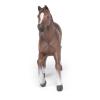 PAPO Horse and Ponies Anglo-Arab Mare Toy Figure, Three Years or Above, Brown (51075)