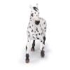 PAPO Horse and Ponies Black Appaloosa Horse Toy Figure, Three Years or Above, White/Black (51539)