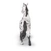 PAPO Horse and Ponies Black Appaloosa Horse Toy Figure, Three Years or Above, White/Black (51539)