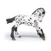 PAPO Horse and Ponies Black Appaloosa Foal Toy Figure, Three Years or Above, White/Black (51540)