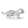 PAPO Wild Animal Kingdom White Tiger Cub Toy Figure, Three Years or Above, Black/White (50048)