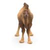 PAPO Wild Animal Kingdom Bactrian Camel Toy Figure, Three Years or Above, Brown (50129)