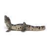 PAPO Wild Animal Kingdom Baby Crocodile Toy Figure, Three Years or Above, Multi-colour (50137)