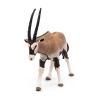 PAPO Wild Animal Kingdom Oryx Antelope Toy Figure, Three Years or Above, Multi-colour (50139)