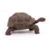 PAPO Wild Animal Kingdom Galapagos Tortoise Toy Figure, Three Years or Above, Green (50161)