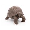 PAPO Wild Animal Kingdom Galapagos Tortoise Toy Figure, Three Years or Above, Green (50161)