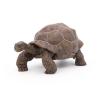 PAPO Wild Animal Kingdom Galapagos Tortoise Toy Figure, Three Years or Above, Green (50161)