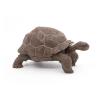 PAPO Wild Animal Kingdom Galapagos Tortoise Toy Figure, Three Years or Above, Green (50161)