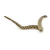 PAPO Wild Animal Kingdom Rattlesnake Toy Figure, Three Years or Above, Multi-colour (50237)