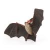 PAPO Wild Animal Kingdom Bat Toy Figure, Three Years or Above, Multi-colour (50239)