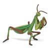 PAPO Wild Animal Kingdom Praying Mantis Toy Figure, Three Years or Above, Green (50244)