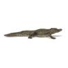 PAPO Wild Animal Kingdom Alligator Toy Figure, Three Years or Above, Multi-colour (50254)