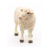 PAPO Farmyard Friends Merinos Sheep Toy Figure, Three Years or Above, White (51041)