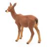 PAPO Wild Animal Kingdom Doe Toy Figure, Three Years or Above, Brown (53014)