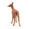 PAPO Wild Animal Kingdom Doe Toy Figure, Three Years or Above, Brown (53014)