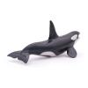 PAPO Marine Life Killer Whale Toy Figure, Three Years or Above, Black/White (56000)