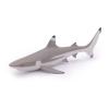 PAPO Marine Life Blacktip Reef Shark Toy Figure, Three Years or Above, Grey/White (56034)