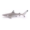 PAPO Marine Life Blacktip Reef Shark Toy Figure, Three Years or Above, Grey/White (56034)