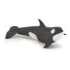 PAPO Marine Life Killer Whale Calf Toy Figure, Three Years or Above, Black/White (56040)