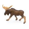 PAPO Wild Animal Kingdom Moose Toy Figure, Three Years or Above, Brown (50065)