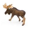 PAPO Wild Animal Kingdom Moose Toy Figure, Three Years or Above, Brown (50065)