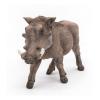 PAPO Wild Animal Kingdom Warthog Toy Figure, Three Years or Above, Brown (50180)