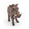 PAPO Wild Animal Kingdom Warthog Toy Figure, Three Years or Above, Brown (50180)