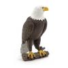 PAPO Wild Animal Kingdom Sea Eagle Toy Figure, Three Years or Above, Brown/White (50181)